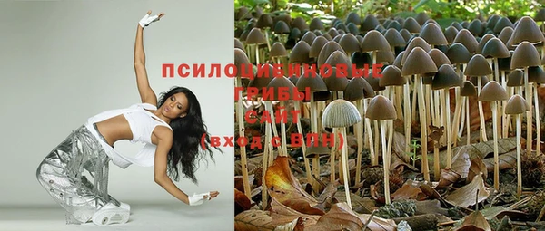 прущая мука Алзамай