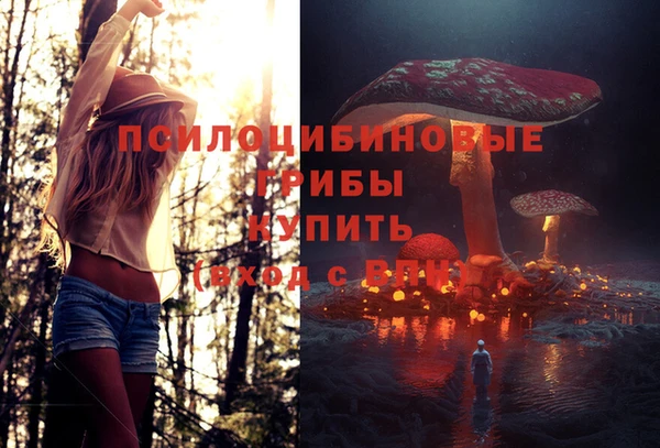 герыч Новозыбков