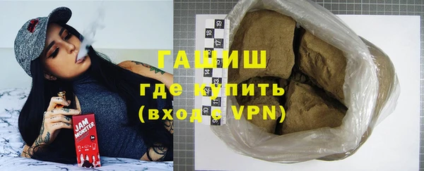 индика Новодвинск